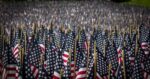 Memorial Day flags