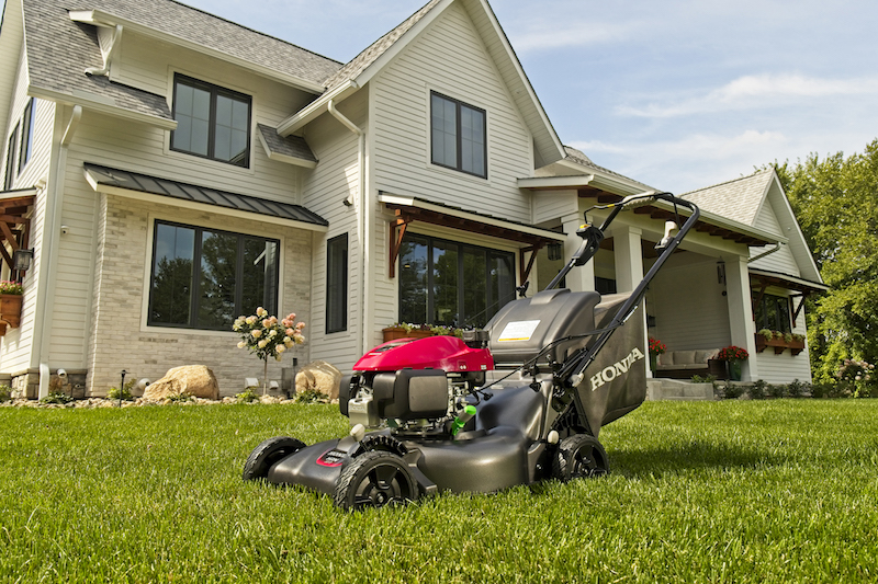 Best petrol best sale lawn mower 2019